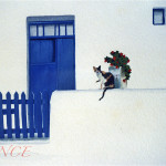 THE BLUE DOOR